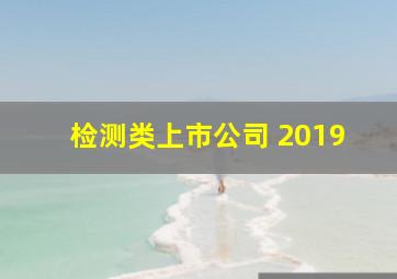 检测类上市公司 2019